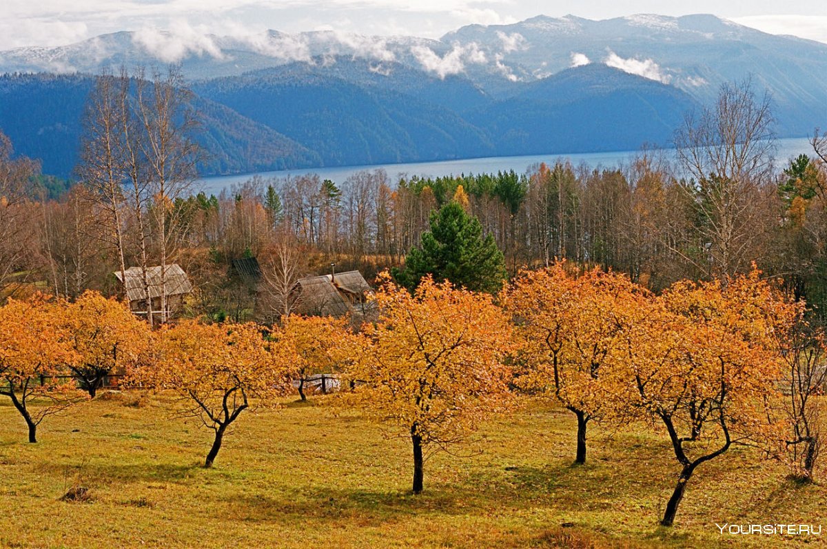 Горно Алтайск природа осенью