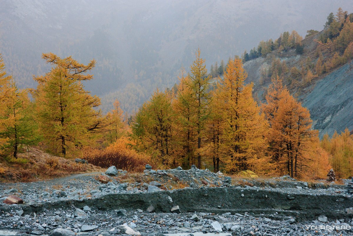 Река Ильгумень осенью