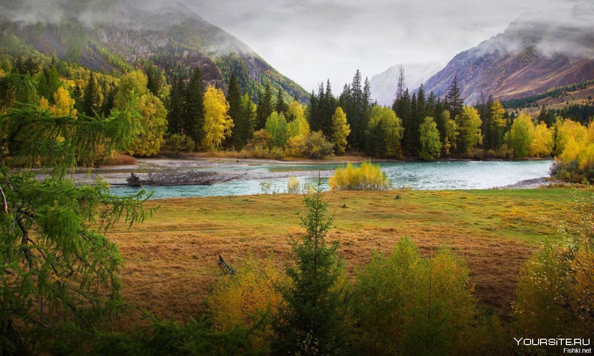 Природа Сибири и Алтая
