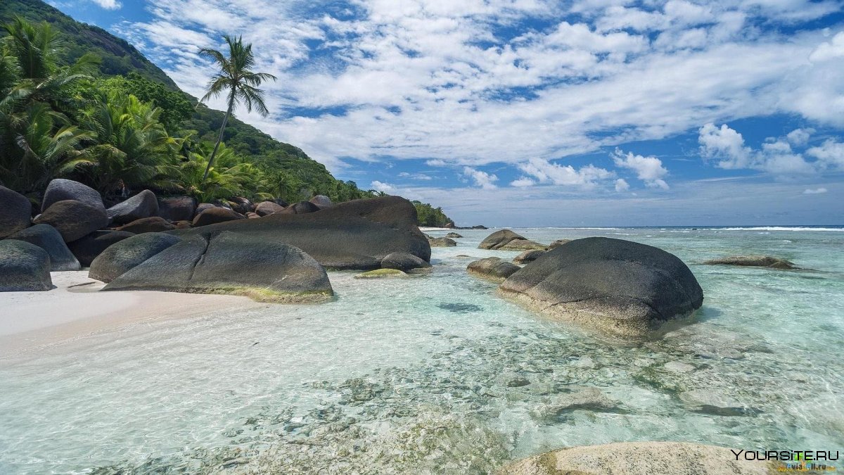 Сейшельские острова берег