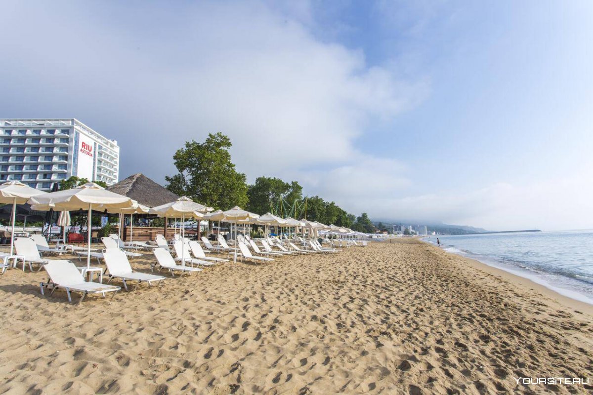 Варна пляж золотые Пески