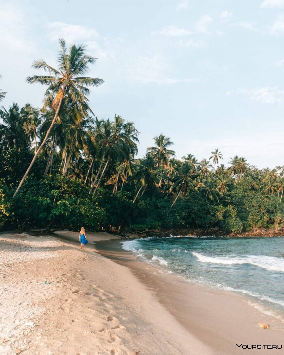 Остров Шри Ланка Велигама