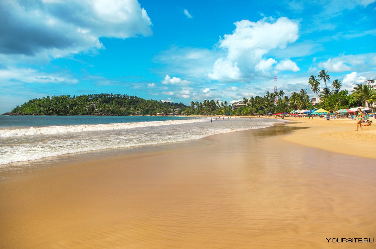 Шри Ланка декабрь 2021