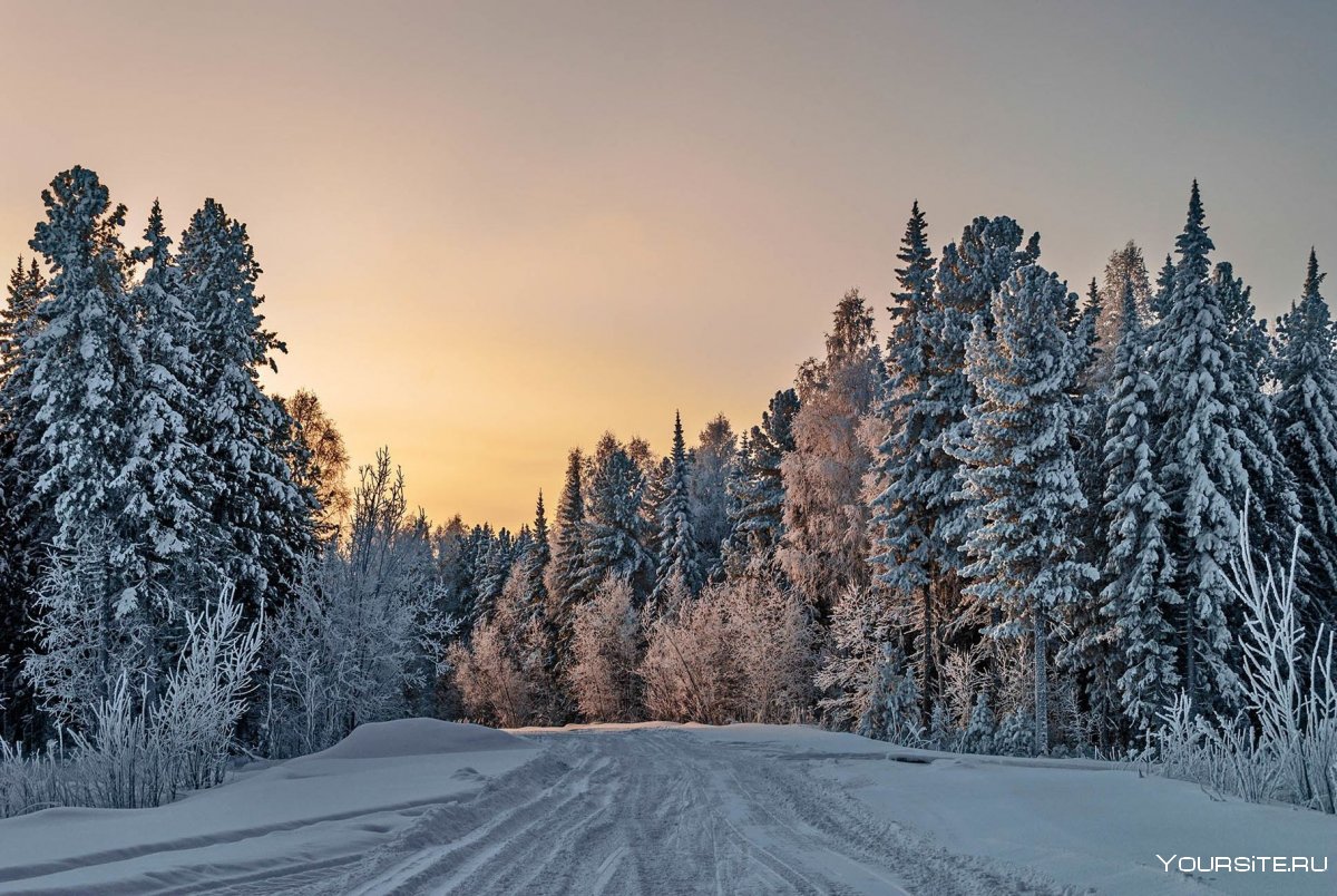 Зима в Уральской тайге