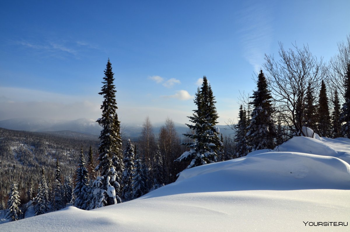 Сибирская Тайга зимой