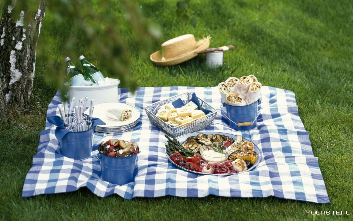 Холланд пикник