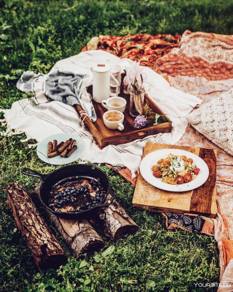 Пикник на природе