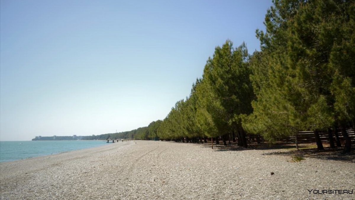 Абхазия галечный пляж Пицунда