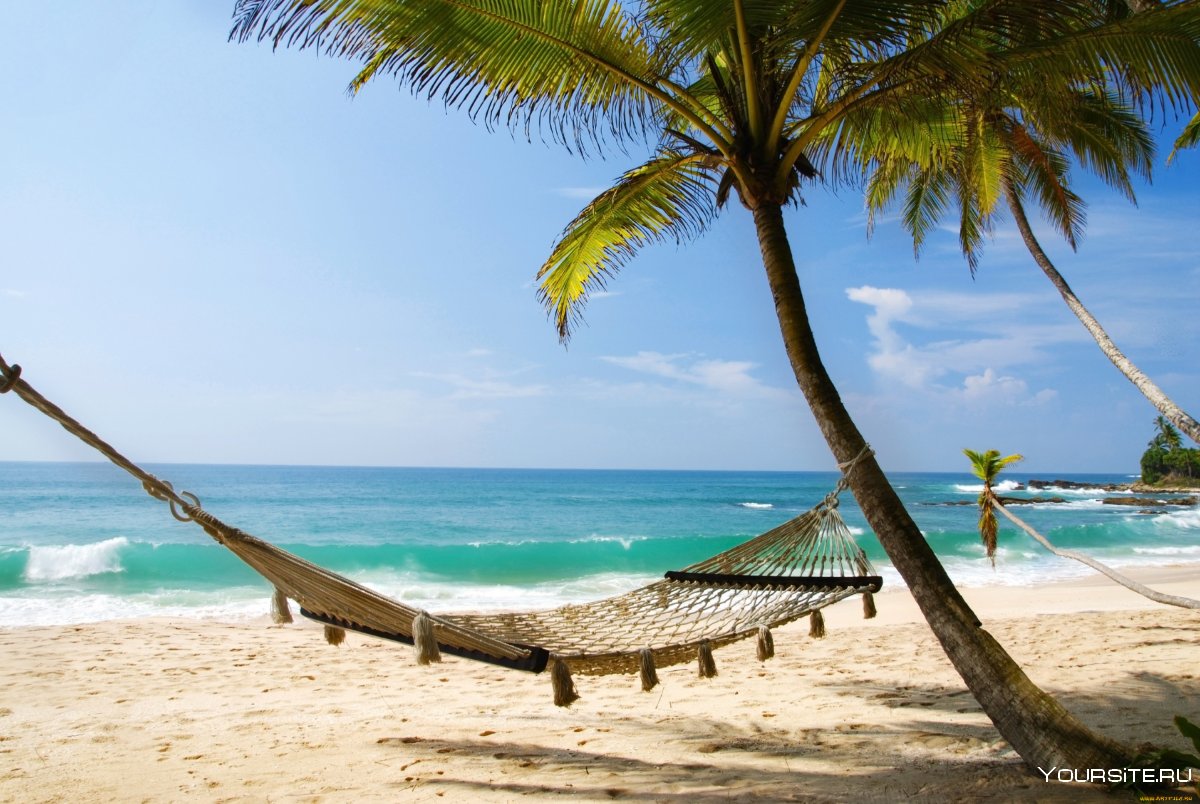 Pullman Cayo Coco 5