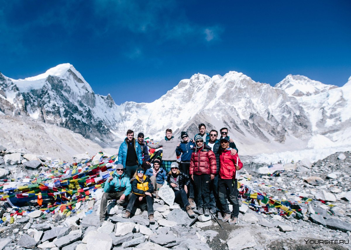 Эверест групп