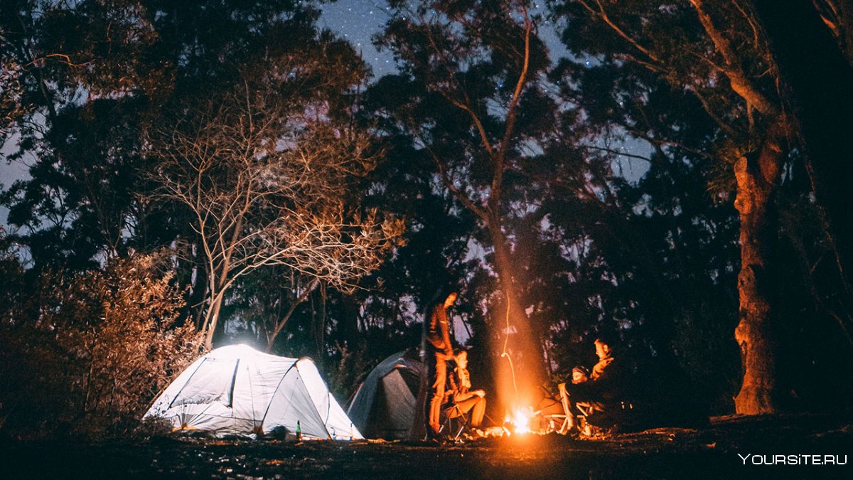 Ночь костер палатка подростки