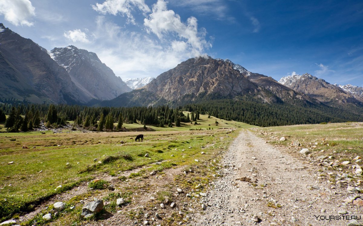 Альпийские Луга Киргизии