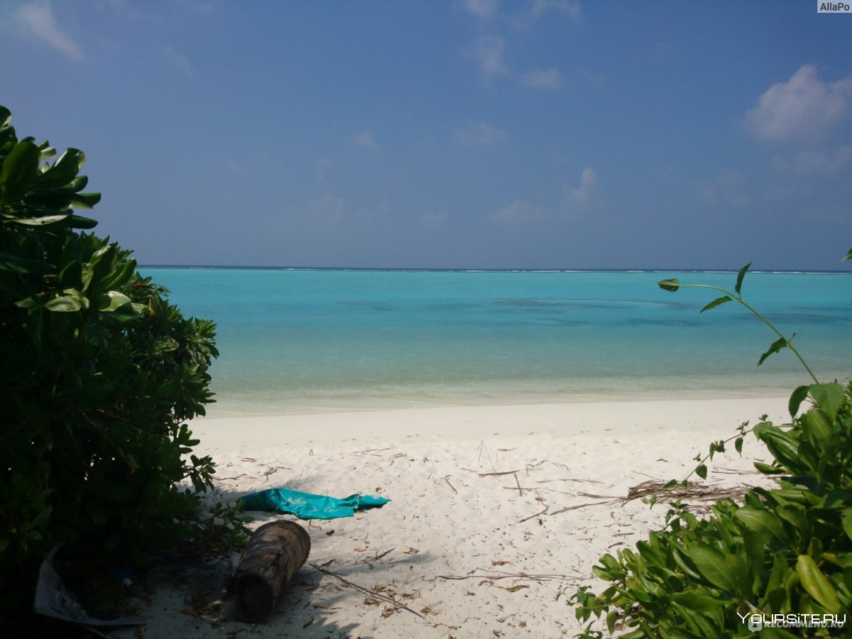 Робинсон клаб Мальдивы