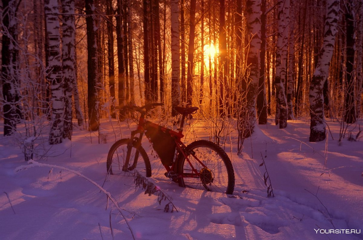 Велосипед на зимней дороге