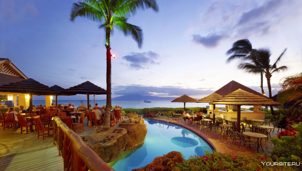 20 Gorgeous photo of Maui