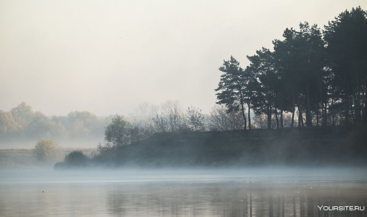 Река Англия туман