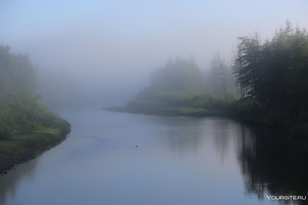 Утро река туман