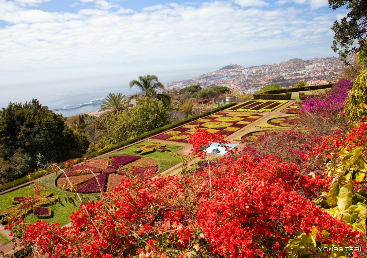 Мадейра (автономный регион) достопримечательности