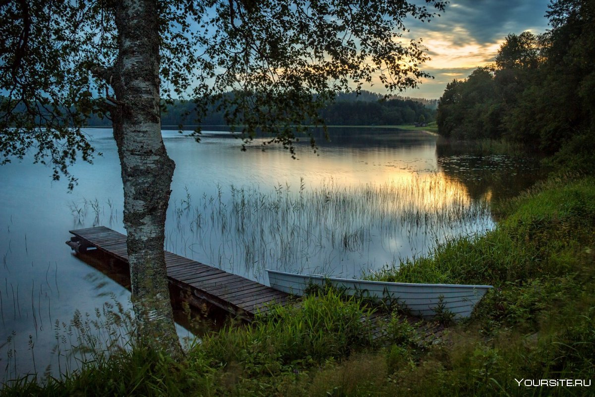 Город Лейк Форест