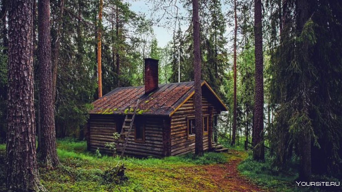 Лесные избушки Финляндии