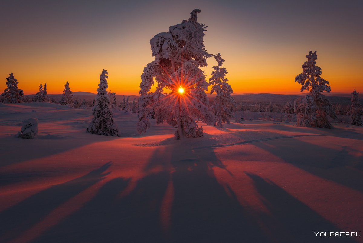 Прокат зима для природа