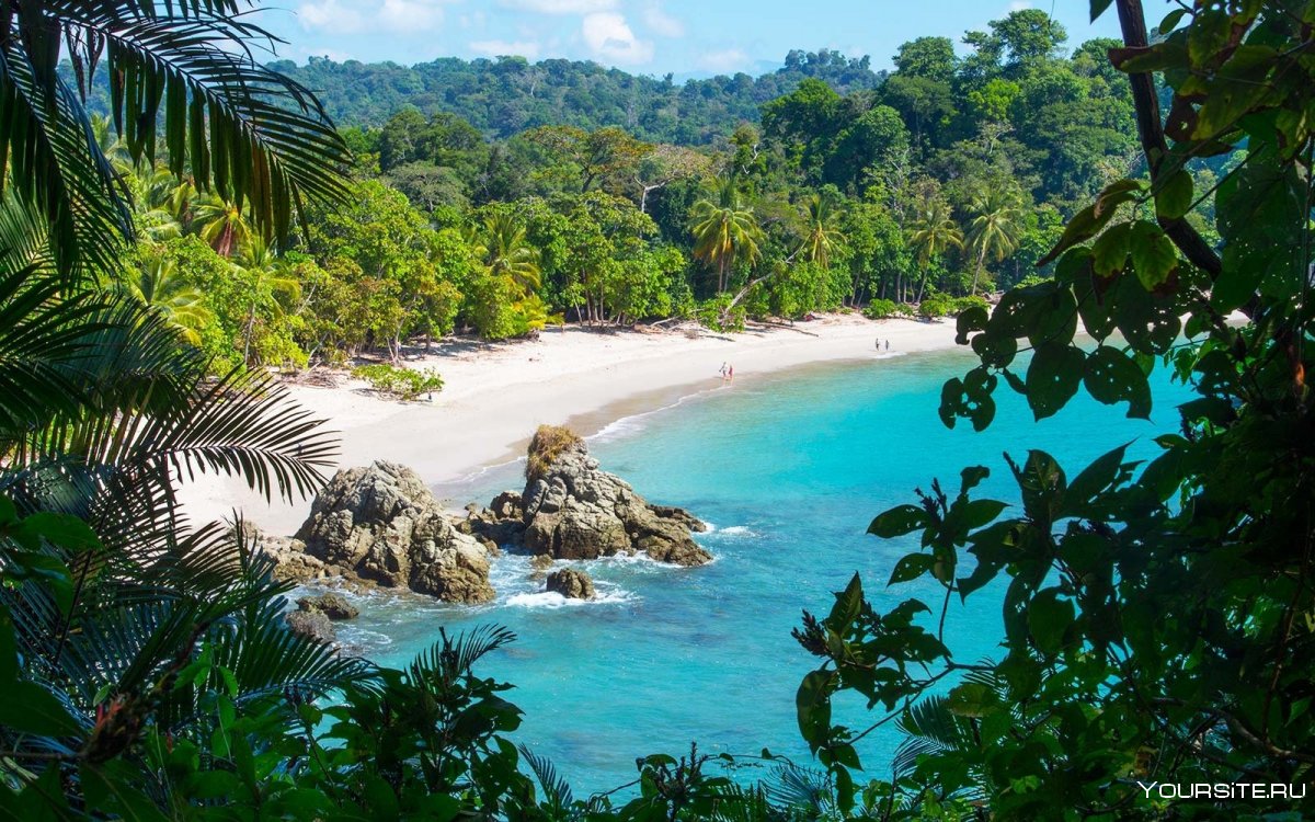 Коста Рика тропики