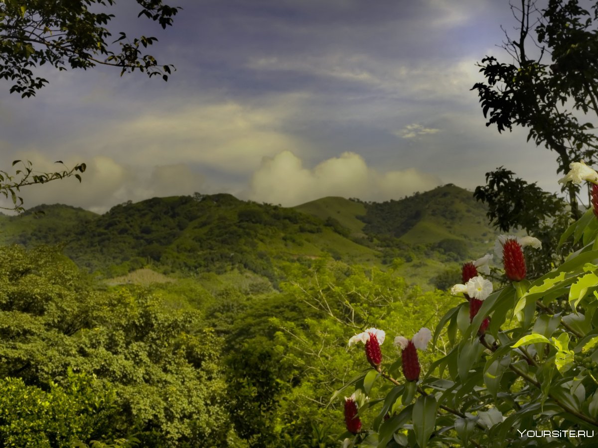 Коста Рика Landscape
