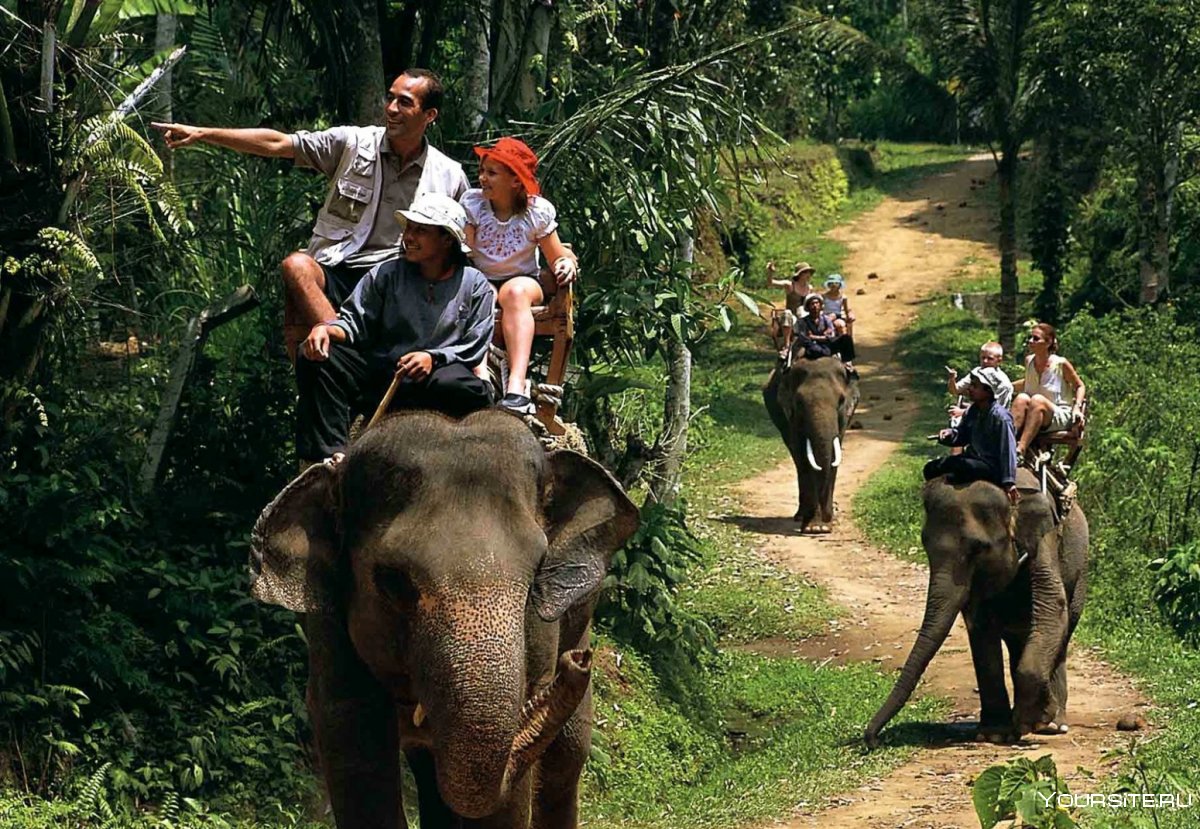 Туристы в джунглях