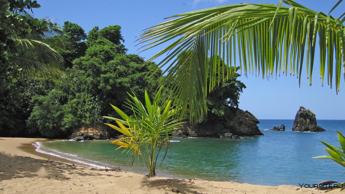 Остров Тобаго пляж