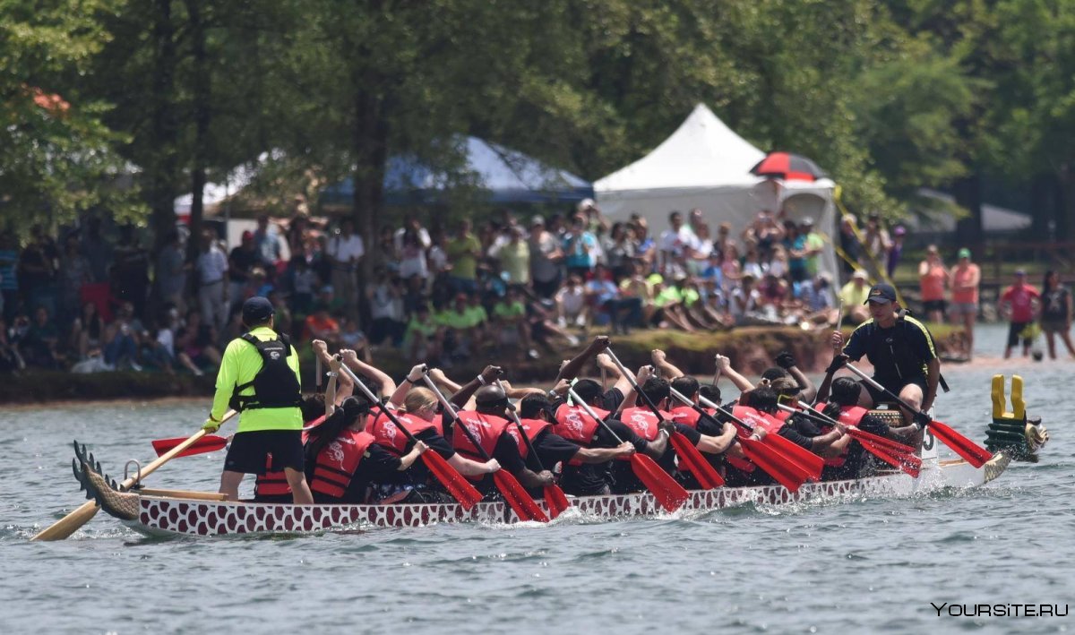 Dragon Boat Festival Party