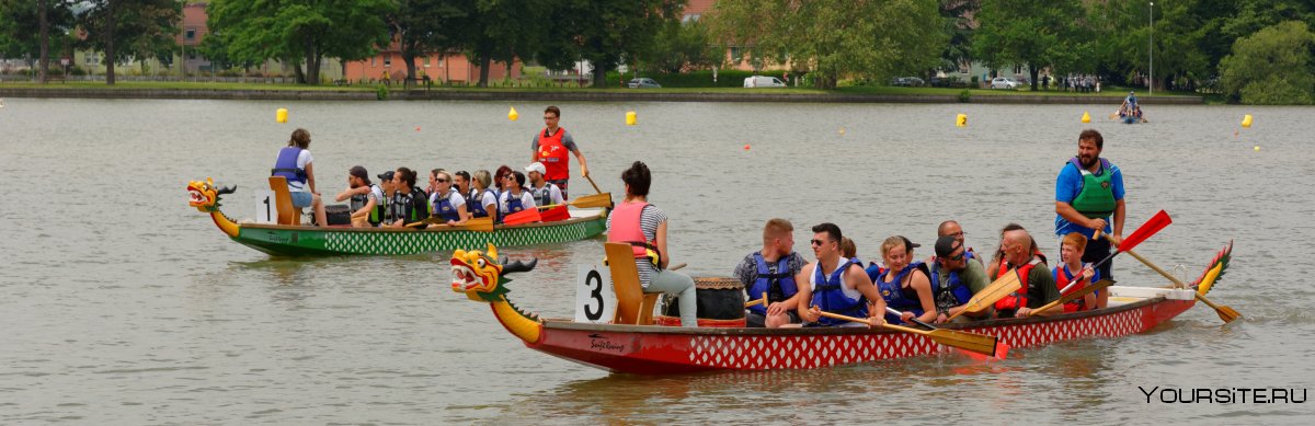 Кофта Dragon Boat Festival