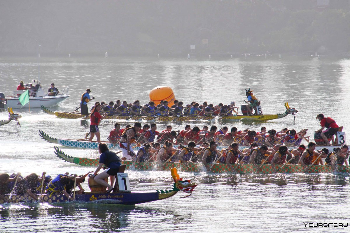 Dragon Boat