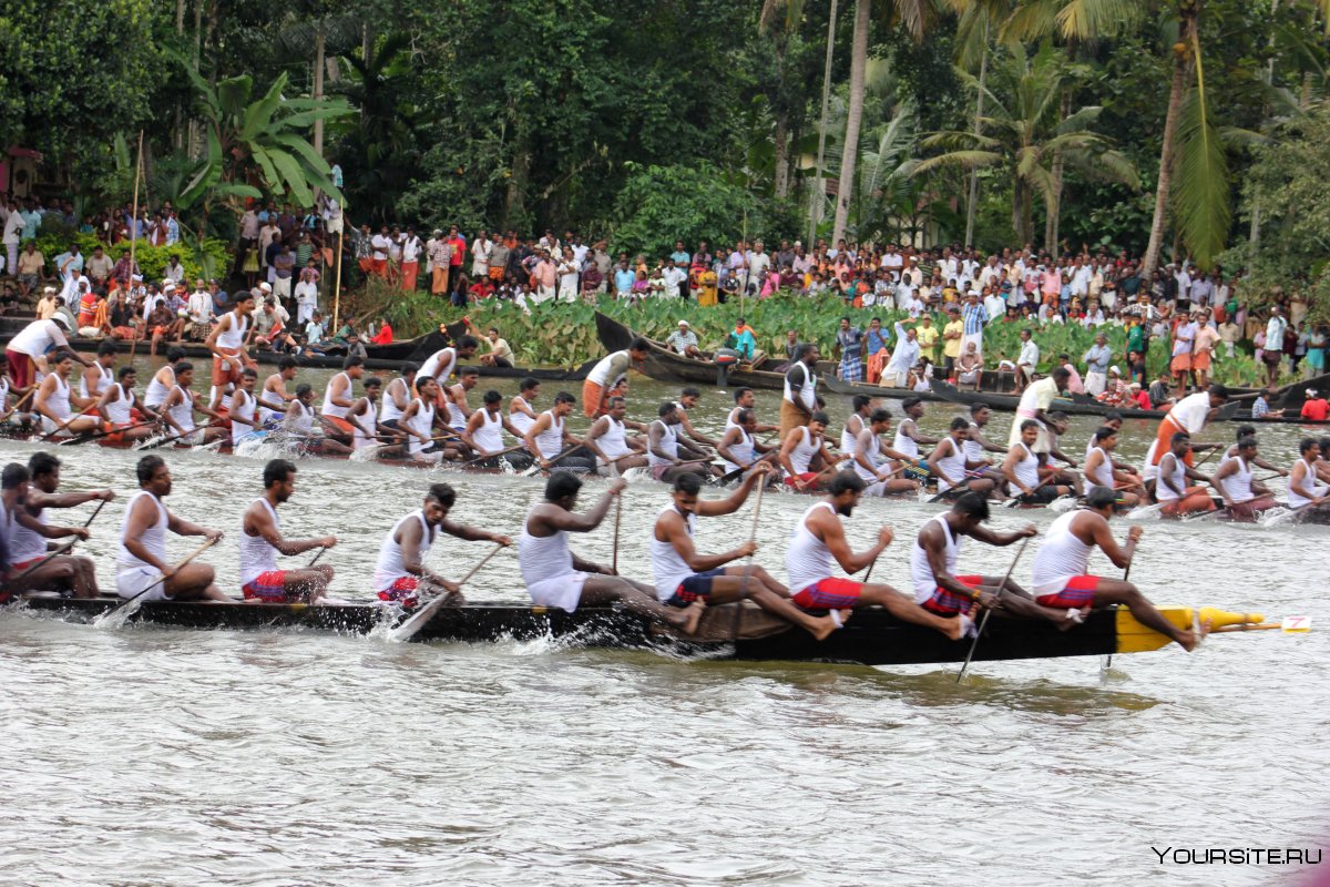 Dragon Boat Festival анимации