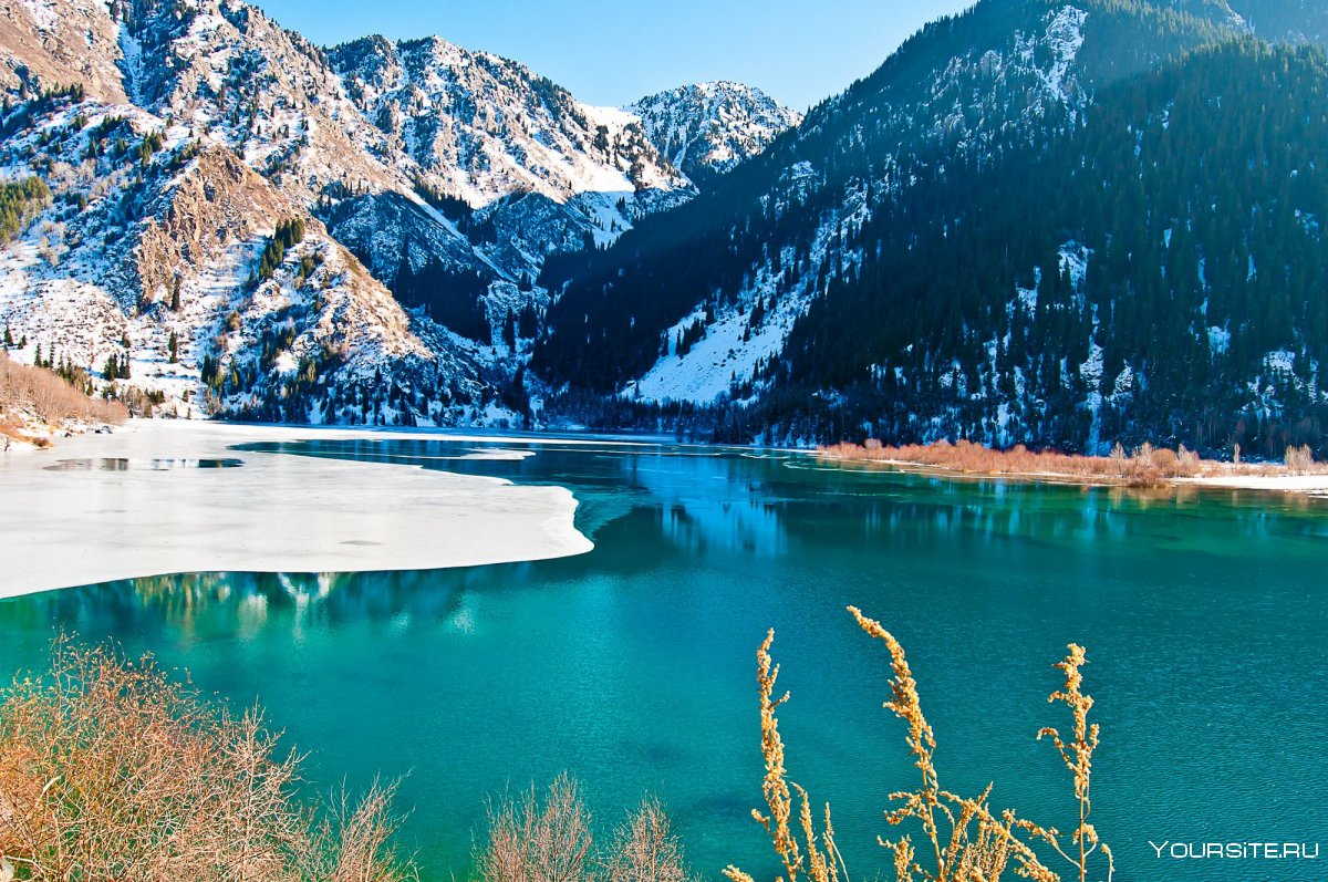 Sary-Chelek nature