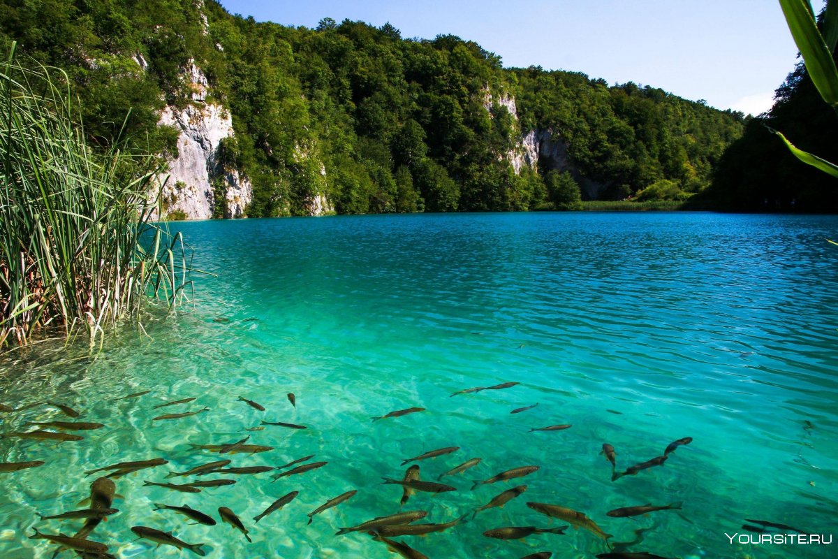 Плитвицкие озёра, Хорватия фауна