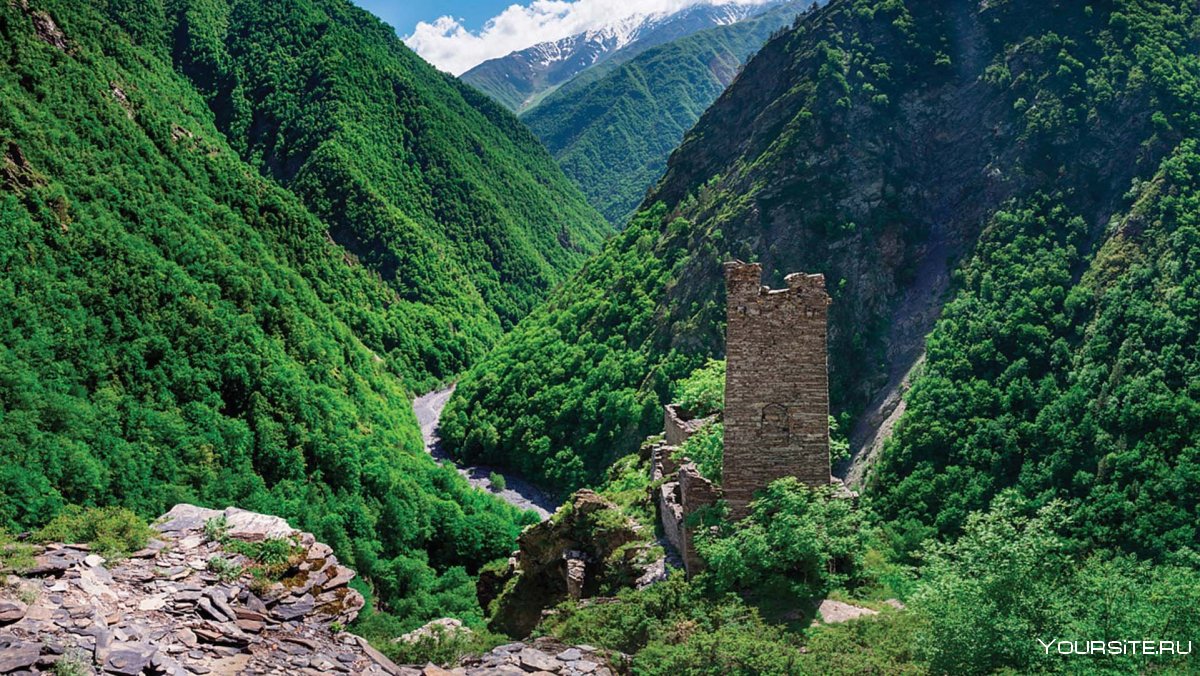 Кавказ Аргунское ущелье