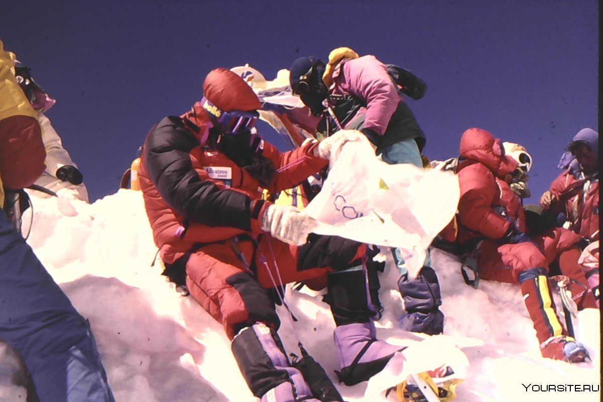 Лин Гаммельгард