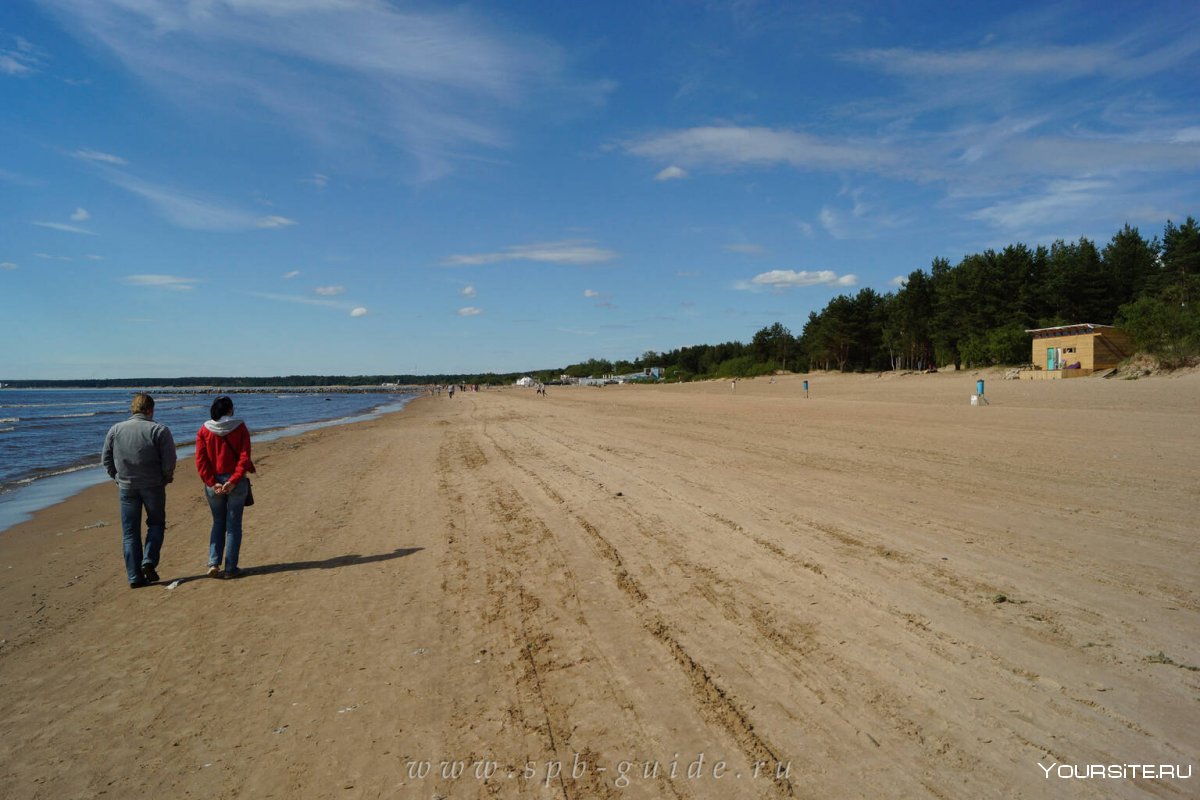 Сестрорецк пляж Сестрорецкий курорт