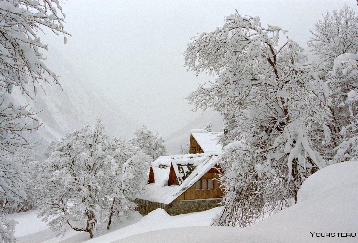 Природа Домбая зимой