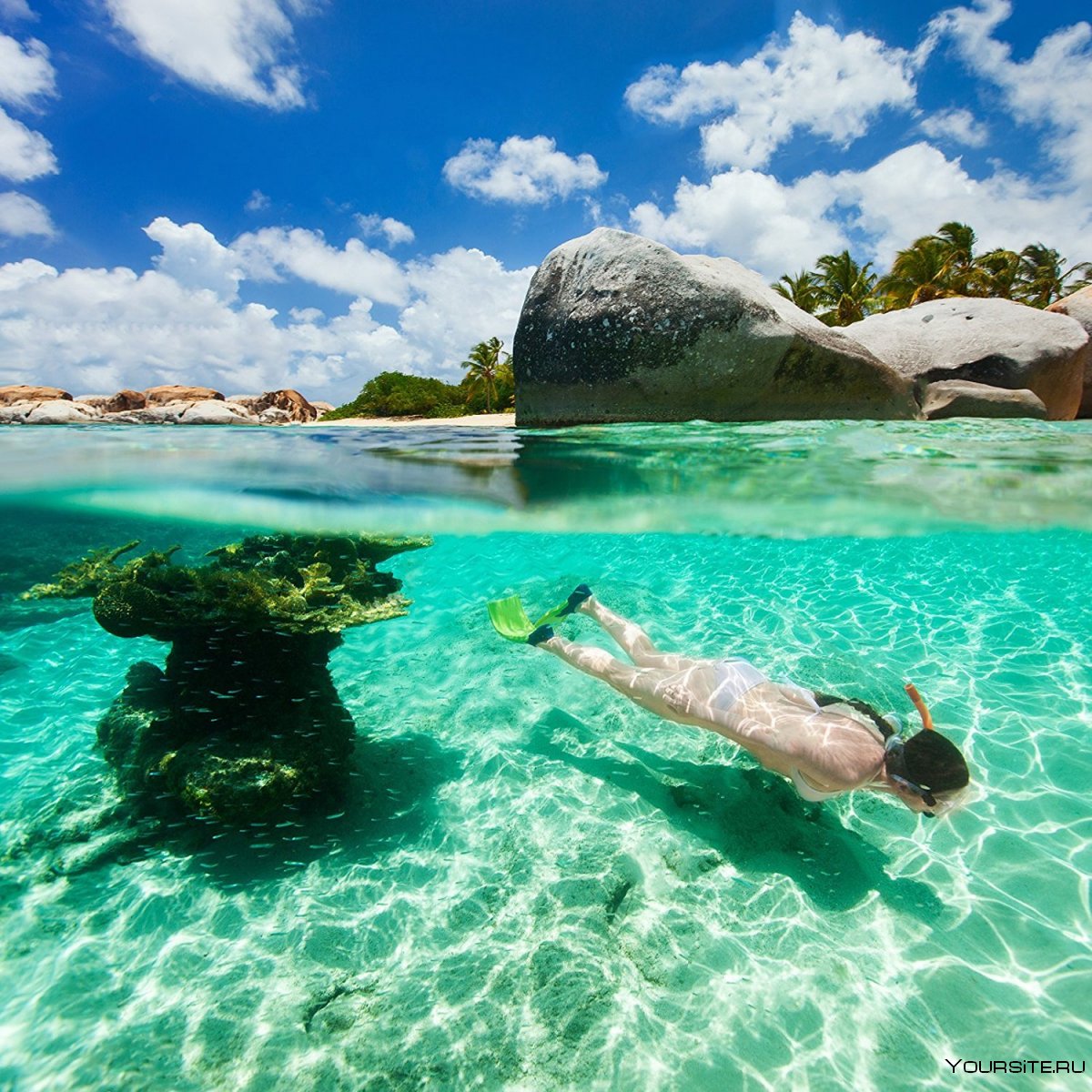 British Virgin Islands snorkling