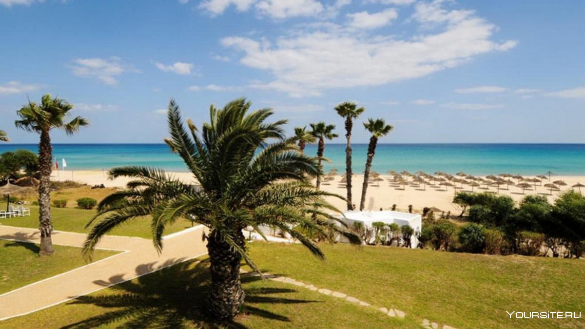 Пляжи Хаммамета в Тунисе