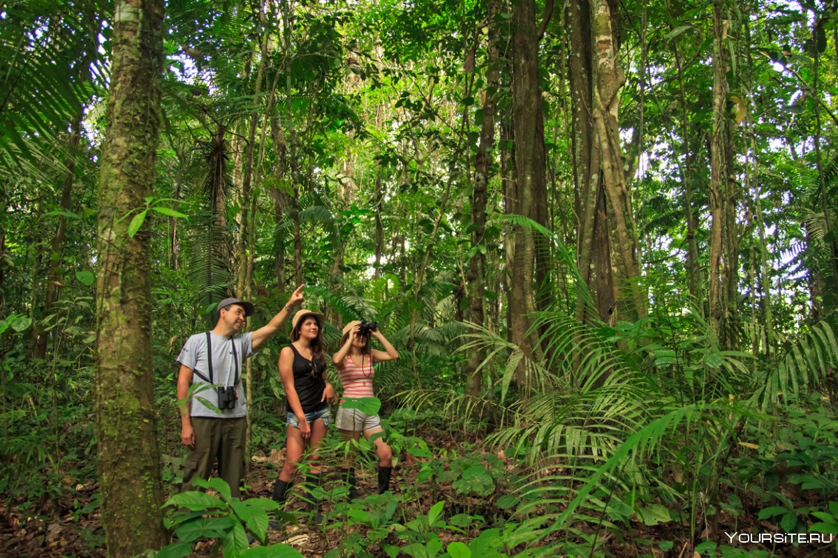 Эквадор «с индейцами в джунглях амазонки»