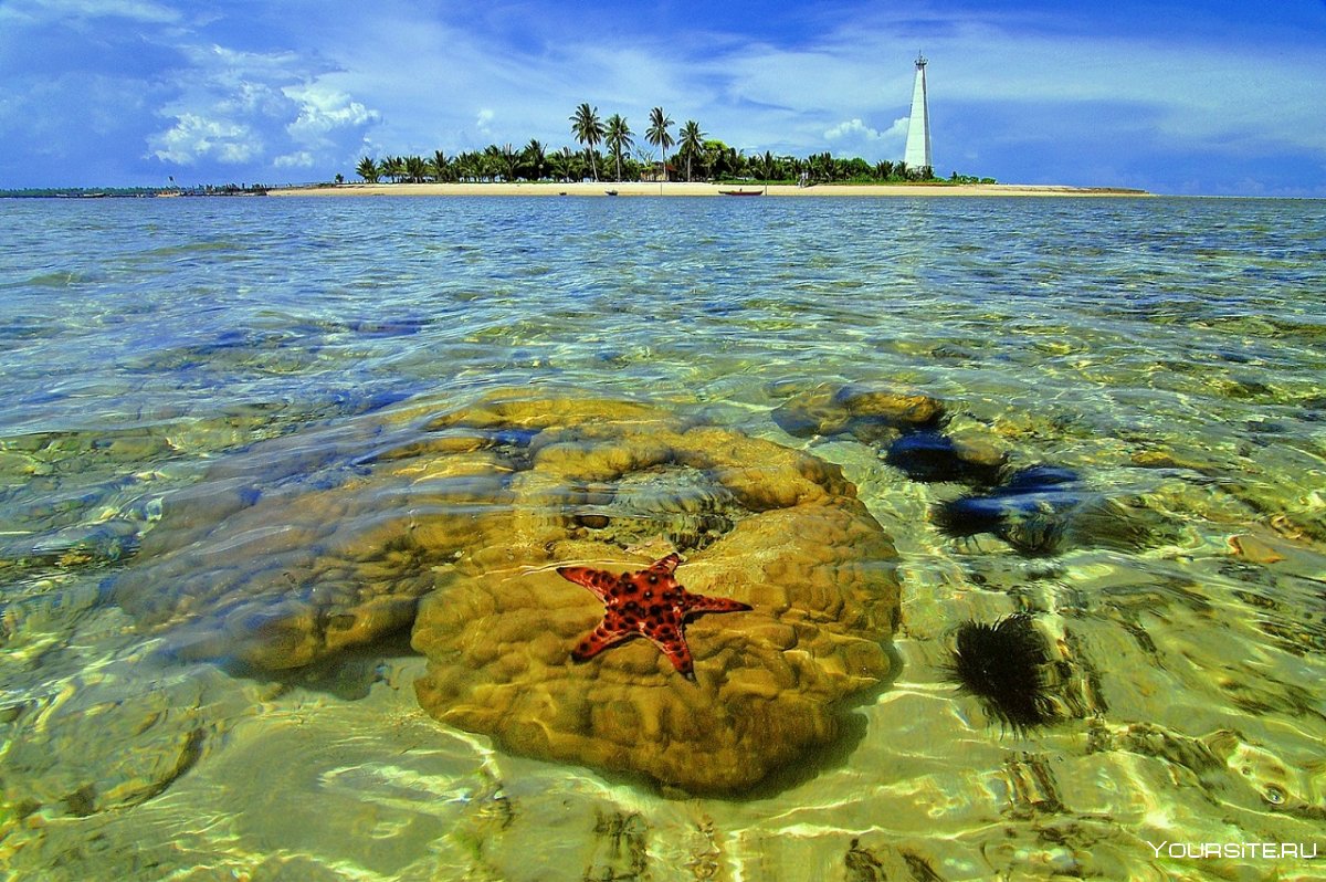Индонезия остров Калимантан
