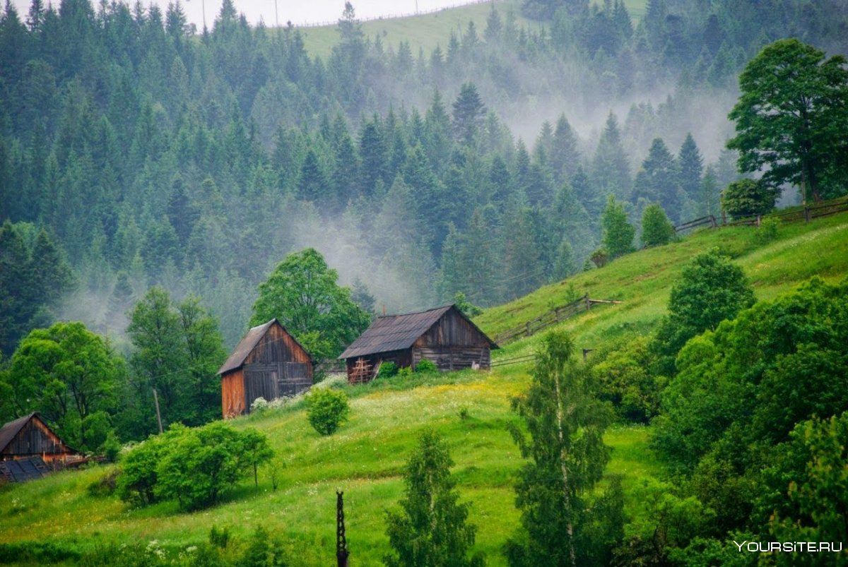 Деревня в лесу