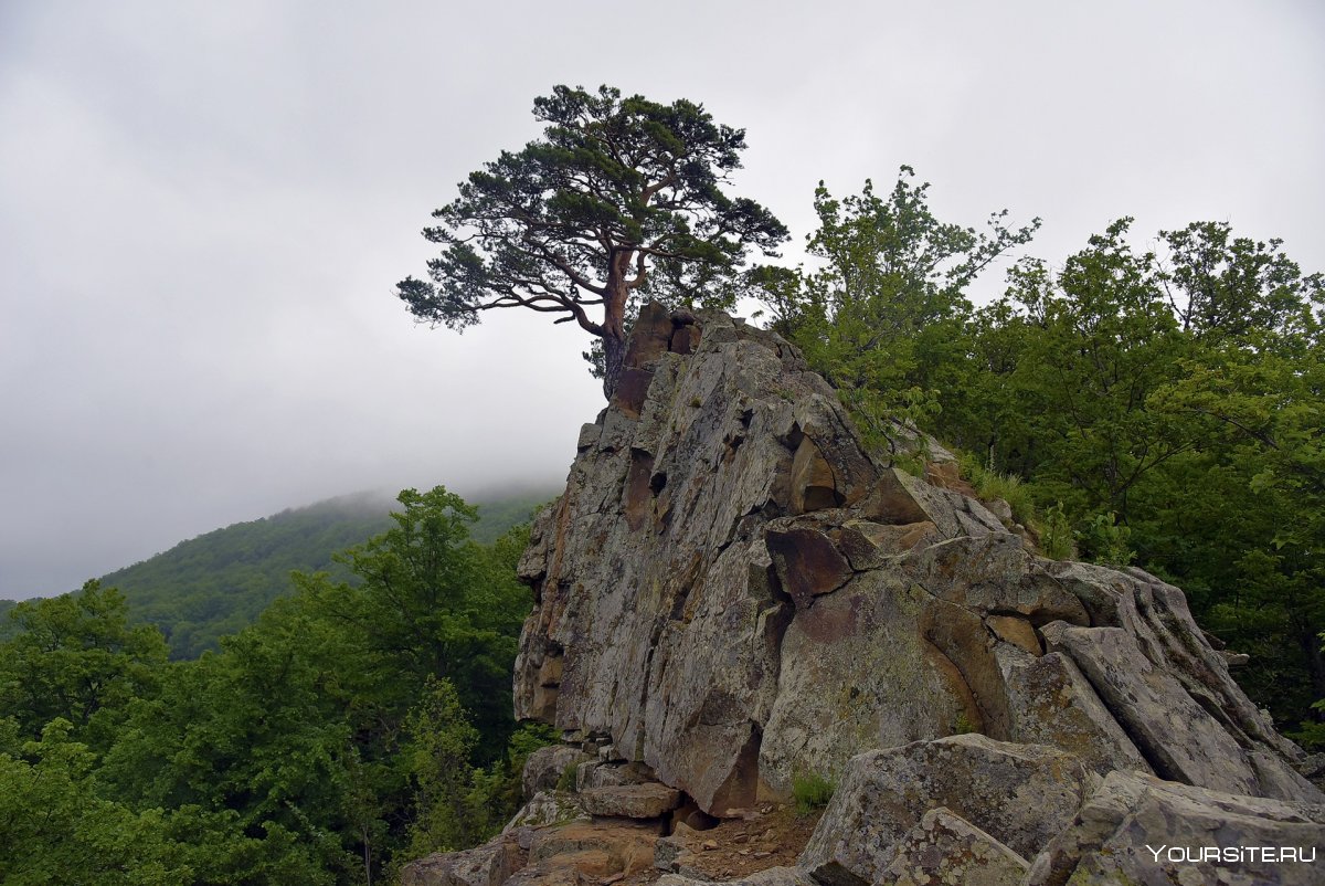 Планческие скалы Краснодарский край