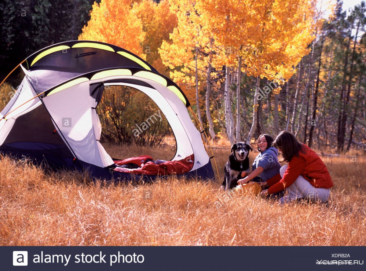 Осенний поход палатки