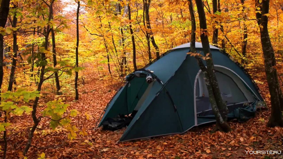 Осенние палатки