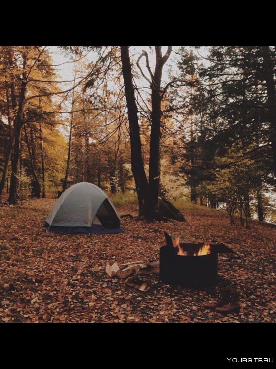Осень палатка