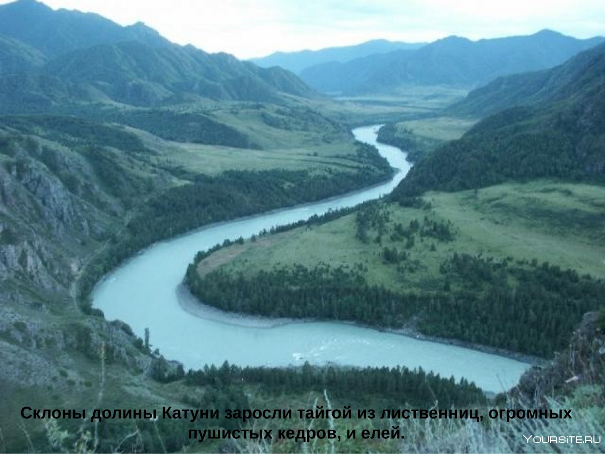 Река Бия и Катунь