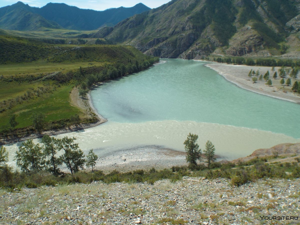 Слияние двух рек горный Алтай